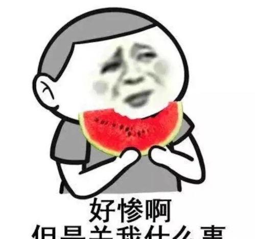 娱乐吃瓜酱风象星座,随性飘散的娱乐风向标，揭秘吃瓜群众的星座秘密
