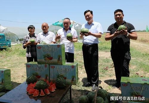娱乐吃瓜酱生活小技巧,解锁日常小技巧