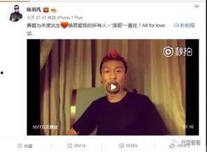 娱乐吃瓜酱离婚案件,揭秘明星夫妻背后的真相