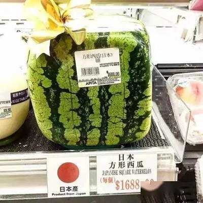 娱乐吃瓜酱礼物价格,价格背后的故事