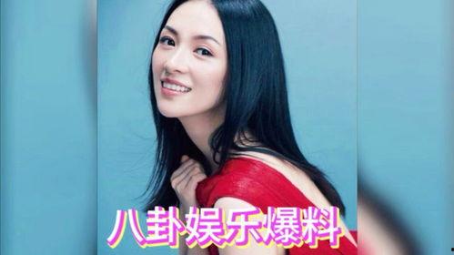 娱乐明星吃瓜专栏,明星们的“吃瓜”日常