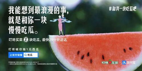 娱乐吃瓜群文案,吃瓜群背后的故事与真相
