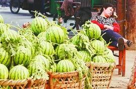 贵阳娱乐吃瓜事件,一场吃瓜群众的狂欢与反思