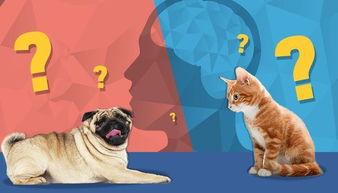 娱乐吃瓜汪星人是谁的小说,揭秘娱乐圈背后的萌宠传奇