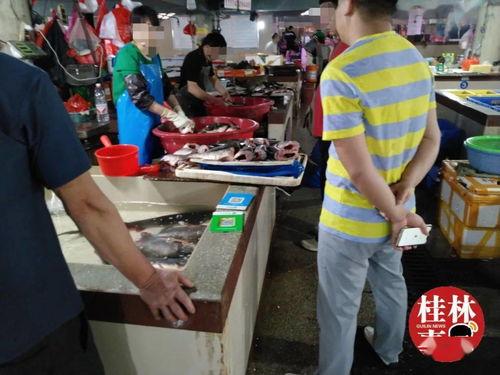 娱乐吃瓜君星图报价,明星片酬背后的秘密大起底