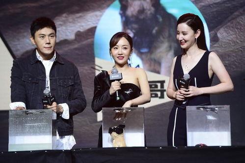 吃瓜群众cj爆料娱乐圈