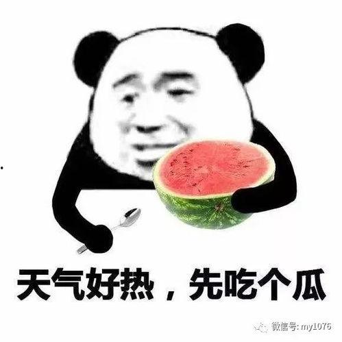 娱乐吃瓜酱你只管善良
